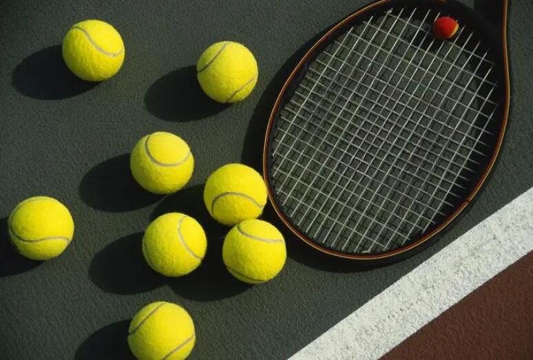 网球 网球的十大品牌